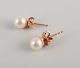 L'Art presents: 
Swedish 
goldsmith. A 
pair of classic 
ear studs in 18 
karat gold 
adorned with 
cultured 
pearls.