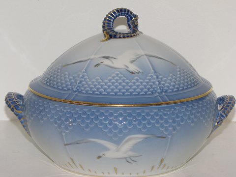 item no: 250064