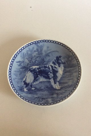 Tove Svendsen Original Hundeplatte Danmark Collie