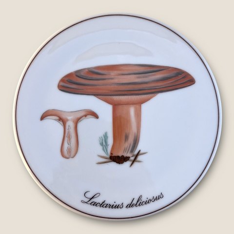 Bing & Grndahl: Svampeplatter