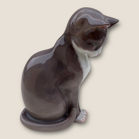 item no: 602056