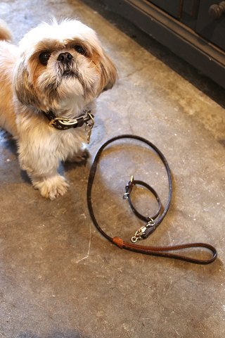 Vintage Louis Vuitton dog collar & leash in LV monogram...