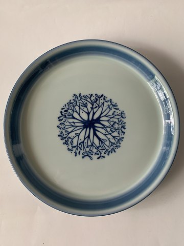 Mistelten  Desiree