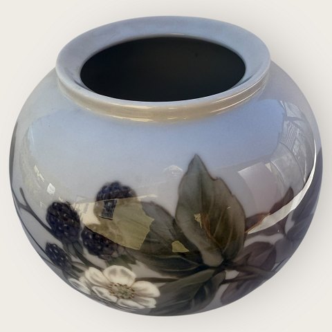 item no: 619010