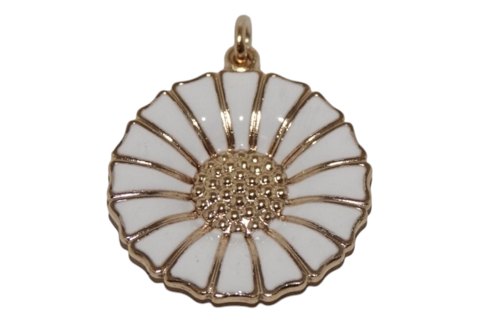 Marguerit<br>Daisy