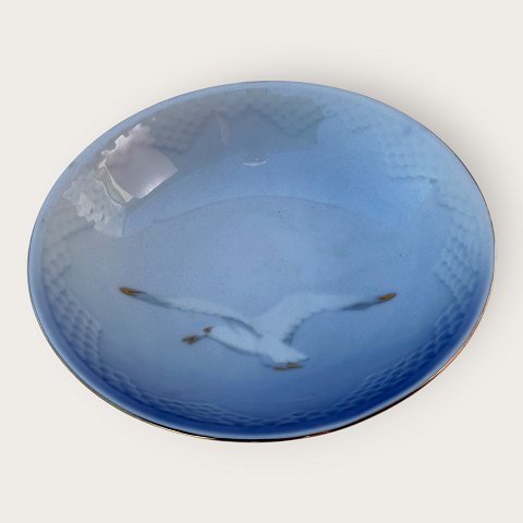 item no: 637836