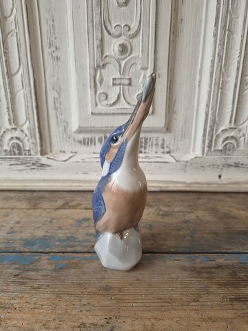 Porcelain and faience