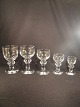 latest
new item latest
new item