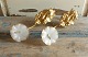 item no:
187082 item no:
187082