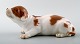 Royal Copenhagen Dog Figurine number 1204 Basset puppy.
