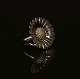 Georg Jensen: A large Daisy ring. D: 3,2cm. Ringsize: 58