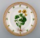 Royal Copenhagen flora danica lunch plate.
Model number 20/3550.