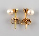 Swedish jeweler. A pair of classic ear studs in 18 carat gold adorned with 
cultured pearls and semi-precious stones. Mid-20th century.
