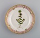 Royal Copenhagen Flora Danica side plate in hand-painted porcelain with flowers 
and gold decoration. Model number 20/3552.
