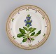 Royal Copenhagen Flora Danica dinner plate in hand-painted porcelain with 
flowers and gold decoration. Model number 20/3549.
