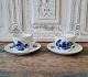item no:
483207 item no:
483207