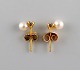 Swedish jeweler. A pair of classic ear studs in 18 carat gold adorned with 
cultured pearls and semi-precious stones. Mid-20th century.
