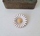 item no:
498191 item no:
498191