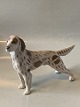 Royal Copenhagen hundefigur, SetterDekorationsnummer 3252SOLGT