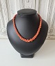 item no:
503005 item no:
503005
