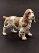 B&G spaniel 2095