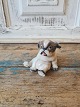 item no:
552027 item no:
552027