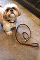Vintage Louis Vuitton dog collar & leash in LV monogram...