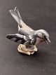 Dahl Jensen 
bird 1320