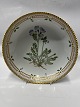Flora DanicaRound bowl 20.9 cm.Polemonium Humite willd.