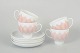 item no:
637116 item no:
637116