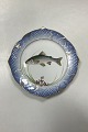 Danam Antik præsenterer: Royal Copenhagen Blåt Fiskestel Tallerken No. 19/3002