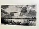 Ole Buus Larsen præsenterer: Radering af Louise Ravn-Hansen - Vejlesø ved Holte 1889.