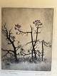 Radering af Kai Vilhelm de Fine-Licht 1928 - Fra Hals ...