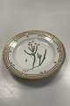 Danam Antik præsenterer: Royal Copenhagen Flora Danica Salat Tallerken No. 20/3573