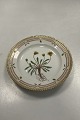 Danam Antik præsenterer: Royal Copenhagen Flora Danica Salat Tallerken No. 20/3573