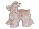 Antik K præsenterer: Royal Copenhagen figurAmerikansk cockerspaniel