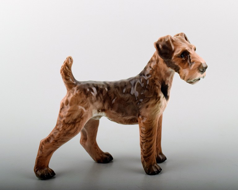 Dahl Jensen figurine 1079, standing Airedale Terrier.
