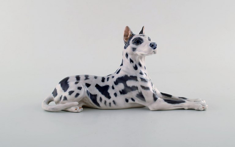 Royal Copenhagen porcelain figurine. Great Dane. Model Number 1679.