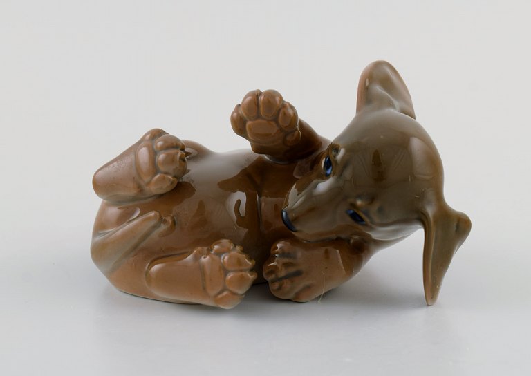 Royal Copenhagen porcelain figurine. Lying dachshund. Model number 1408. Dated 
1964.
