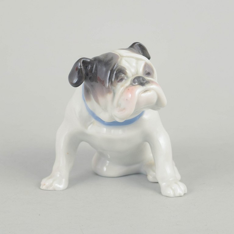 European porcelain figurine, French bulldog.